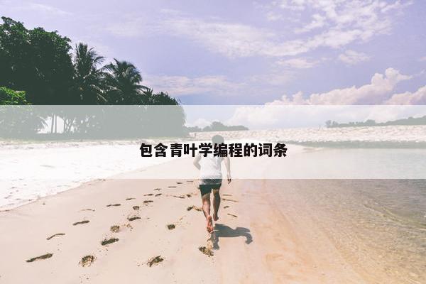 包含青叶学编程的词条
