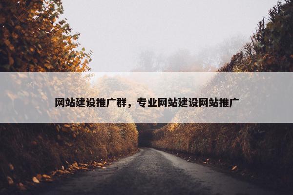网站建设推广群，专业网站建设网站推广