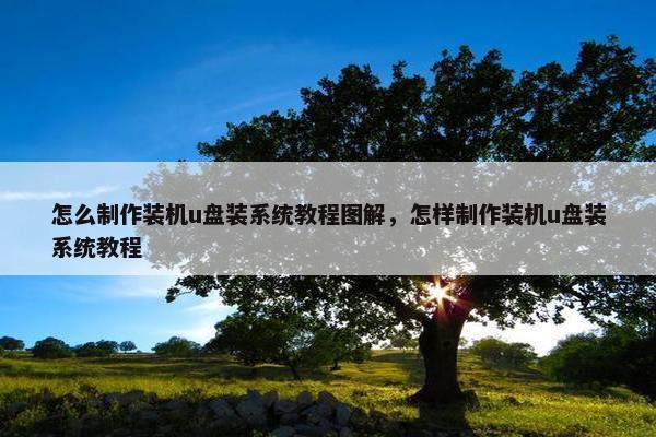 怎么制作装机u盘装系统教程图解，怎样制作装机u盘装系统教程