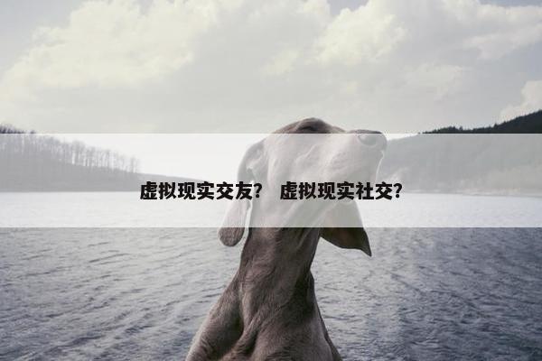 虚拟现实交友？ 虚拟现实社交？