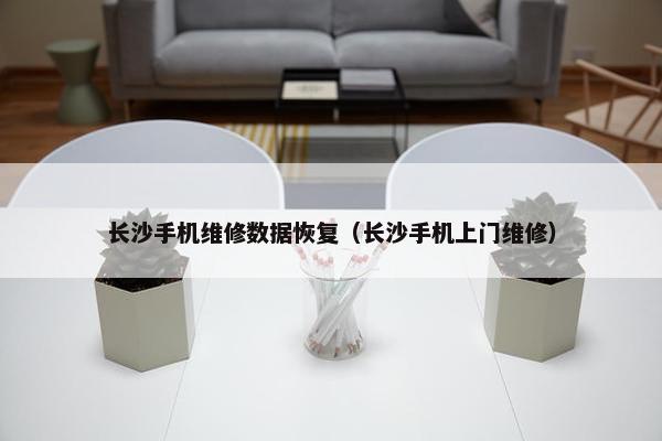 长沙手机维修数据恢复（长沙手机上门维修）