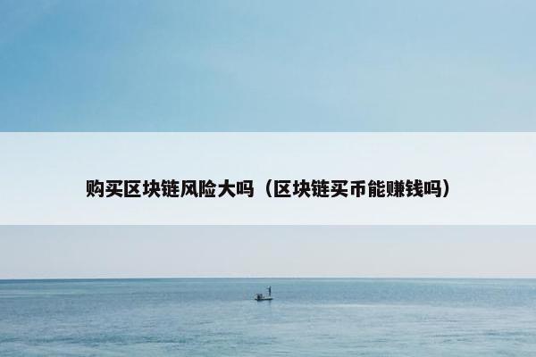 购买区块链风险大吗（区块链买币能赚钱吗）