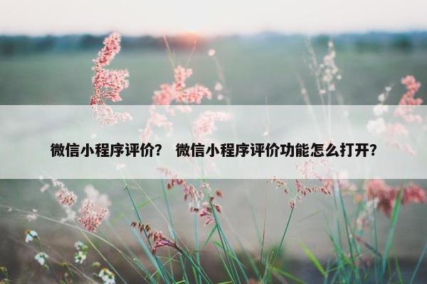 微信小程序评价？ 微信小程序评价功能怎么打开？