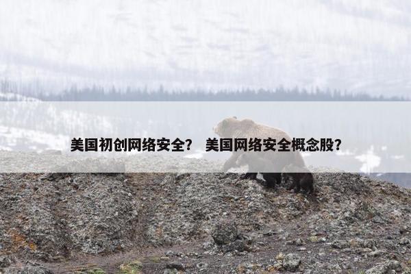 美国初创网络安全？ 美国网络安全概念股？