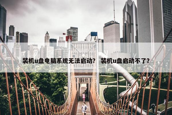 装机u盘电脑系统无法启动？ 装机u盘启动不了？