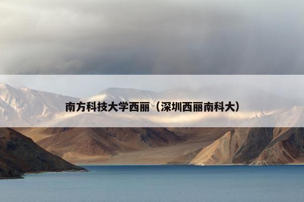 南方科技大学西丽（深圳西丽南科大）