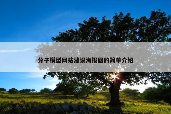 分子模型网站建设海报图的简单介绍