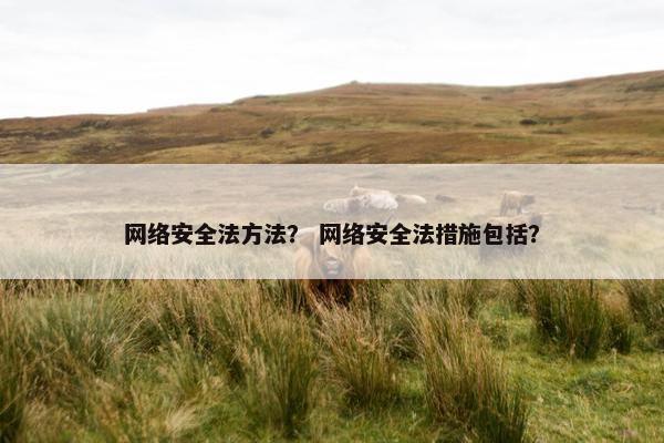 网络安全法方法？ 网络安全法措施包括？