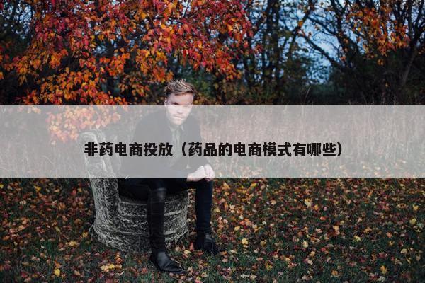 非药电商投放（药品的电商模式有哪些）