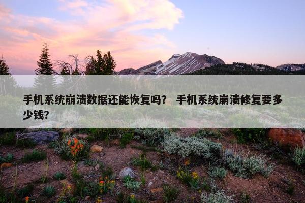 手机系统崩溃数据还能恢复吗？ 手机系统崩溃修复要多少钱？