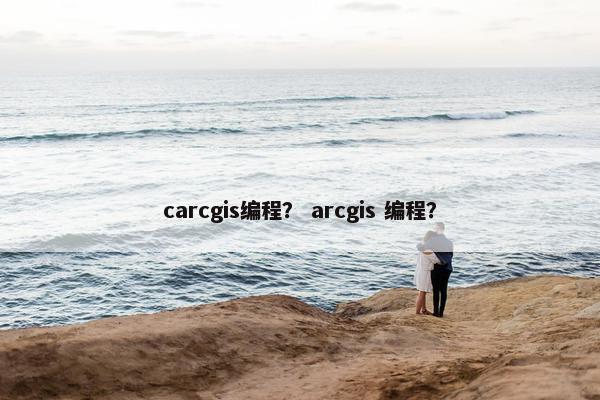 carcgis编程？ arcgis 编程？