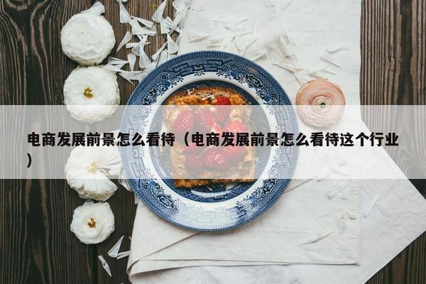 电商发展前景怎么看待（电商发展前景怎么看待这个行业）