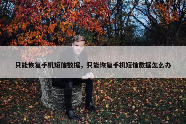 只能恢复手机短信数据，只能恢复手机短信数据怎么办