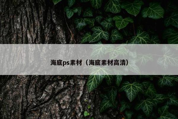 海底ps素材（海底素材高清）