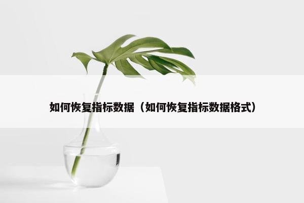 如何恢复指标数据（如何恢复指标数据格式）