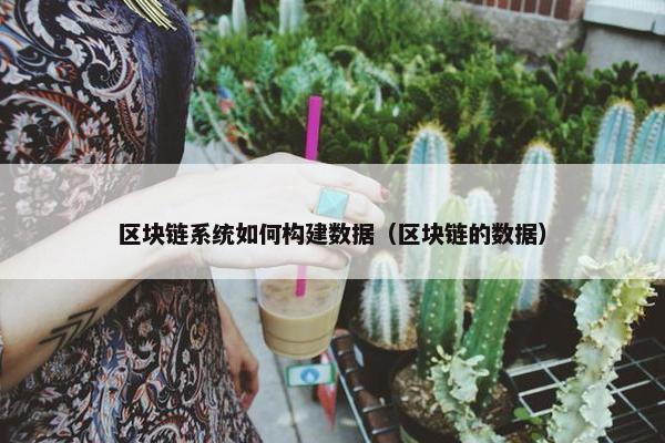 区块链系统如何构建数据（区块链的数据）