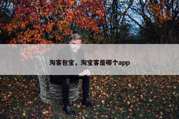 淘客包宝，淘宝客是哪个app