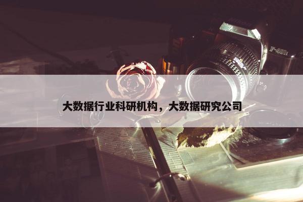大数据行业科研机构，大数据研究公司