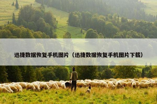 迅捷数据恢复手机图片（迅捷数据恢复手机图片下载）