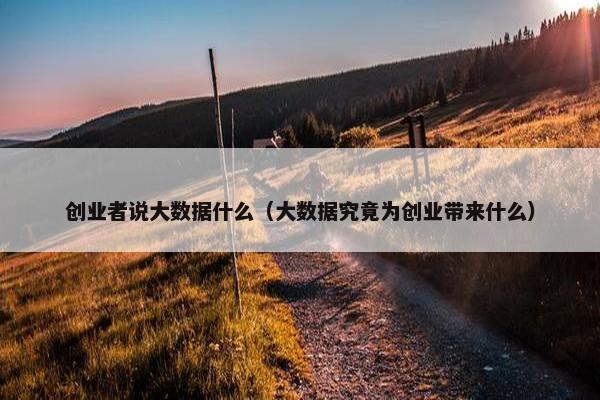 创业者说大数据什么（大数据究竟为创业带来什么）