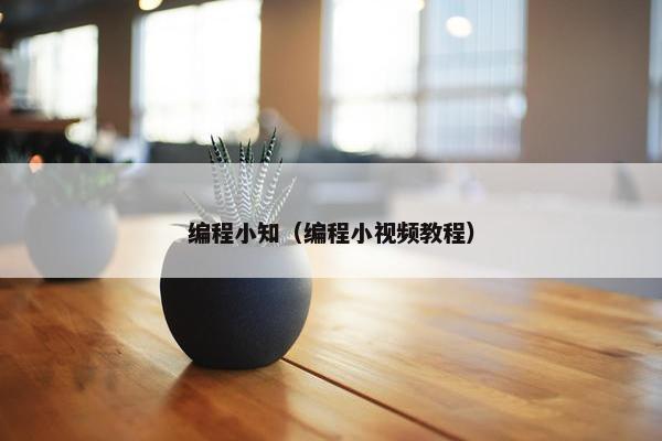 编程小知（编程小视频教程）