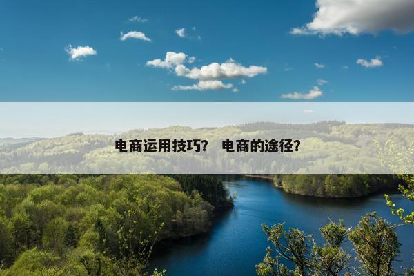电商运用技巧？ 电商的途径？