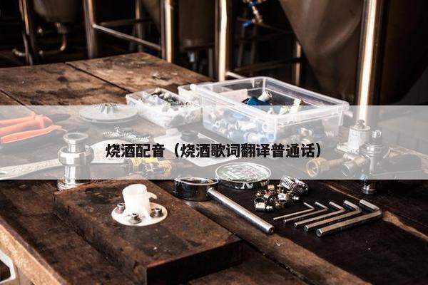 烧酒配音（烧酒歌词翻译普通话）