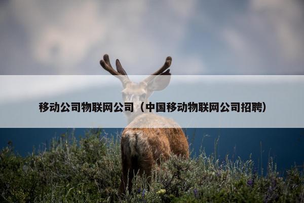 移动公司物联网公司（中国移动物联网公司招聘）