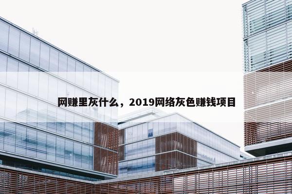 网赚里灰什么，2019网络灰色赚钱项目