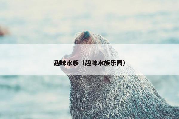 趣味水族（趣味水族乐园）