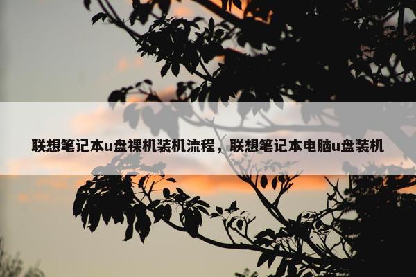 联想笔记本u盘裸机装机流程，联想笔记本电脑u盘装机