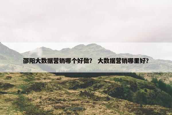 邵阳大数据营销哪个好做？ 大数据营销哪里好？