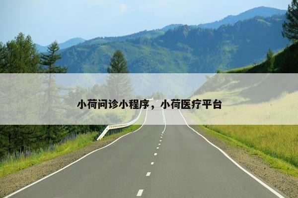 小荷问诊小程序，小荷医疗平台