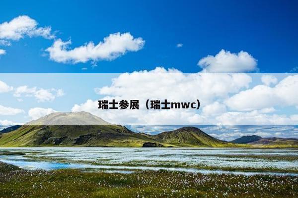 瑞士参展（瑞士mwc）