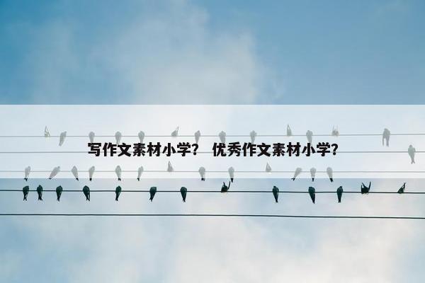写作文素材小学？ 优秀作文素材小学？