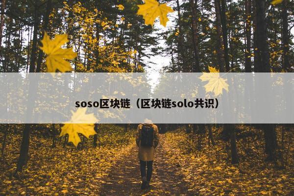 soso区块链（区块链solo共识）
