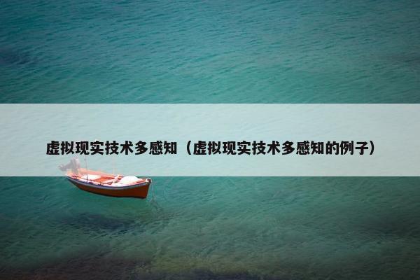 虚拟现实技术多感知（虚拟现实技术多感知的例子）
