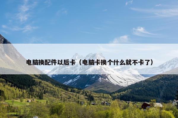 电脑换配件以后卡（电脑卡换个什么就不卡了）