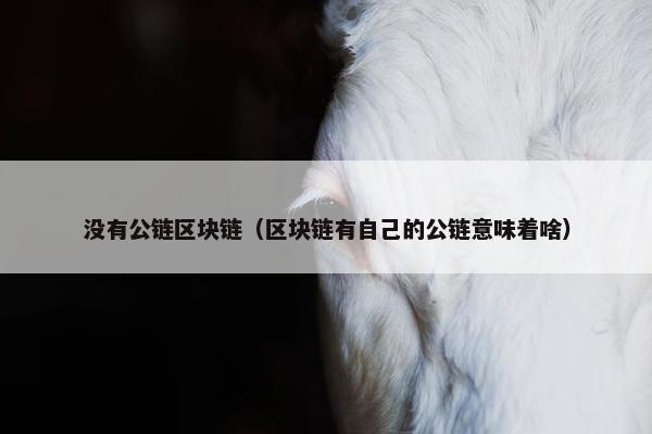 没有公链区块链（区块链有自己的公链意味着啥）