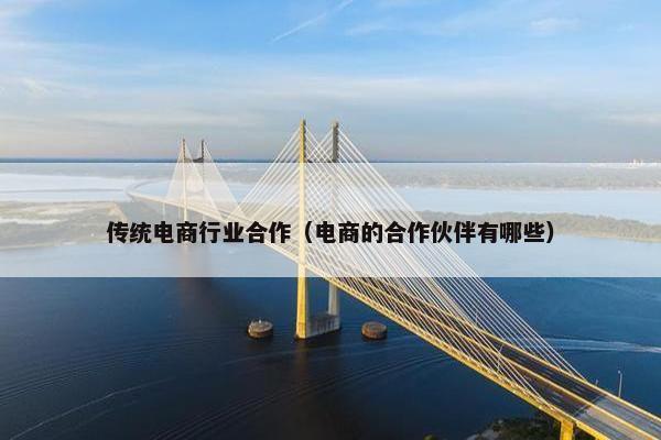 传统电商行业合作（电商的合作伙伴有哪些）