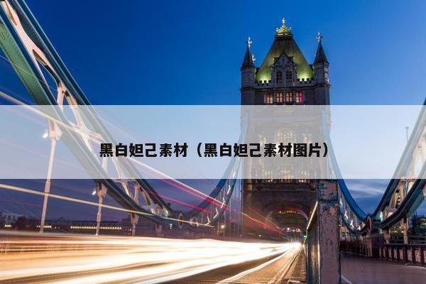 黑白妲己素材（黑白妲己素材图片）
