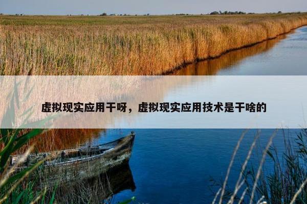 虚拟现实应用干呀，虚拟现实应用技术是干啥的