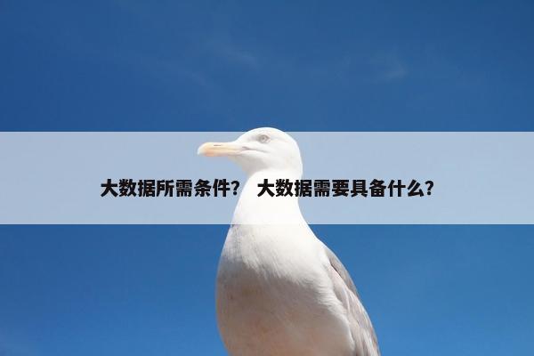 大数据所需条件？ 大数据需要具备什么？