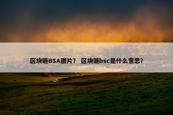 区块链BSA图片？ 区块链bsc是什么意思？