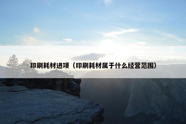 印刷耗材进项（印刷耗材属于什么经营范围）