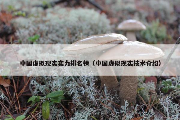 中国虚拟现实实力排名榜（中国虚拟现实技术介绍）