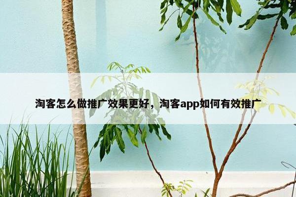 淘客怎么做推广效果更好，淘客app如何有效推广