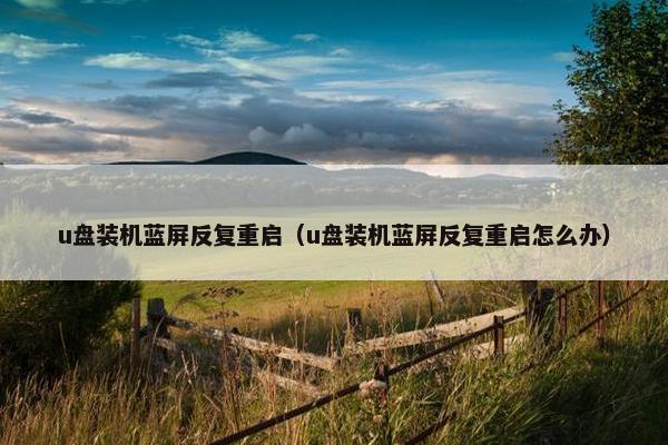u盘装机蓝屏反复重启（u盘装机蓝屏反复重启怎么办）