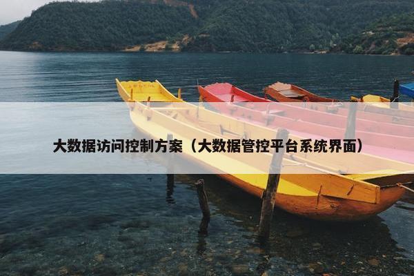 大数据访问控制方案（大数据管控平台系统界面）
