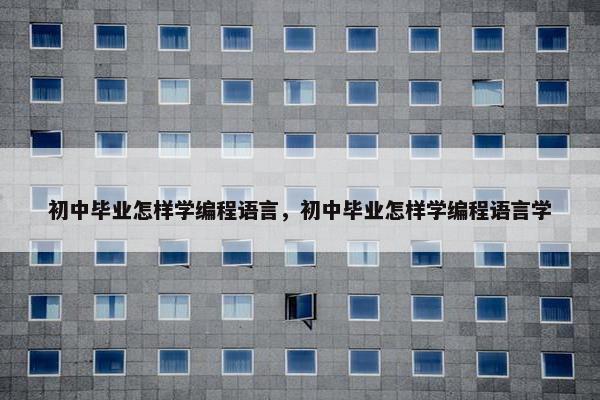初中毕业怎样学编程语言，初中毕业怎样学编程语言学